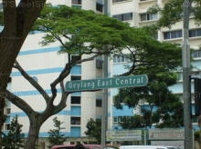 Geylang East Central thumbnail photo